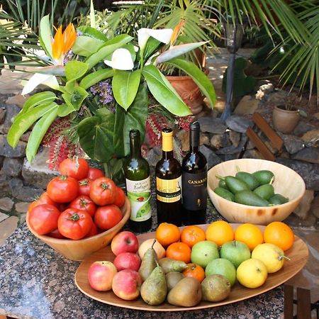 Cabana Ecologica La Orotava Bagian luar foto