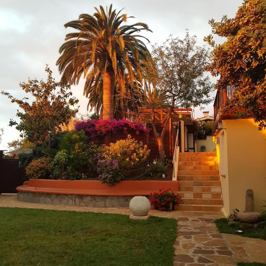 Cabana Ecologica La Orotava Bagian luar foto